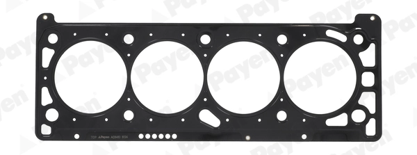 PAYEN AC5460