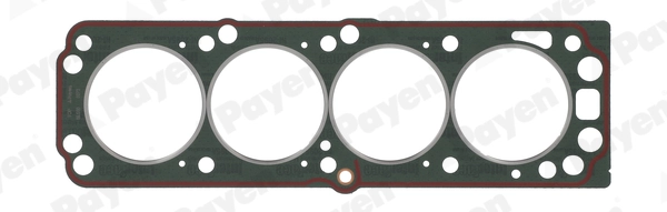 PAYEN BL550