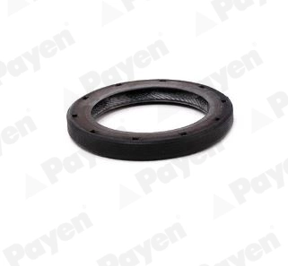 PAYEN NA5507