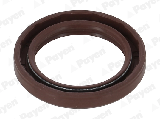 PAYEN NA5506