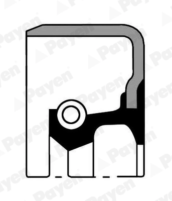 PAYEN NJ867