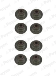 PAYEN HR661