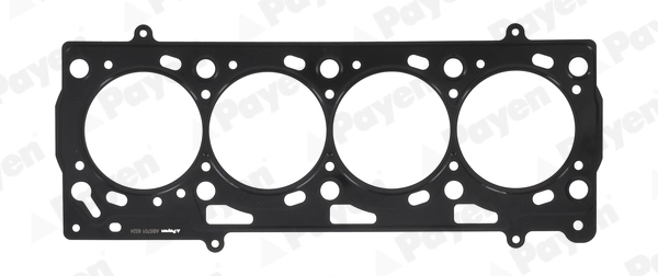 PAYEN AB5701