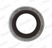 PAYEN PB852