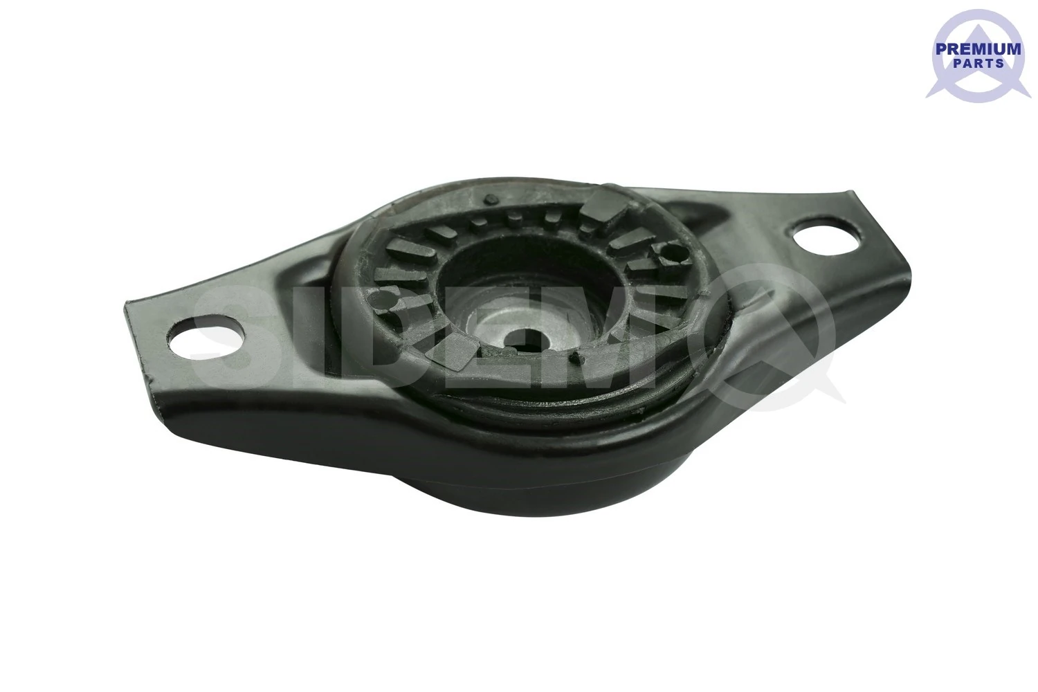 RAISO RC09909