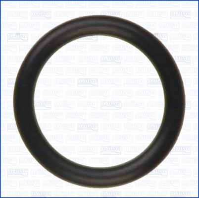 AJUSA 16095200