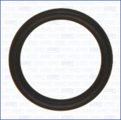 AJUSA 16092900