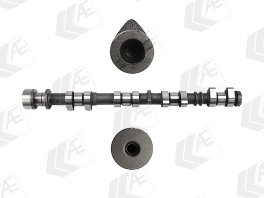 AE CAM1079