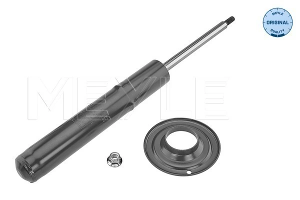 RAISO RS315262