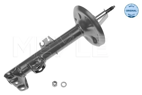 RAISO RS115373