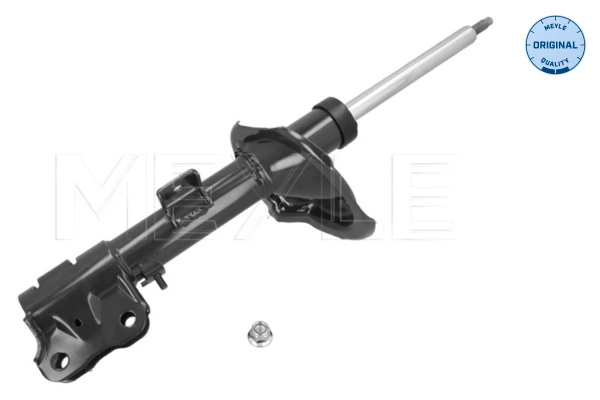 RAISO RS316993