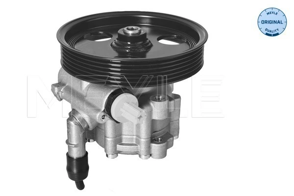Renault 491105510R