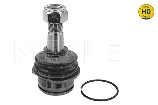 RAISO RL251187W