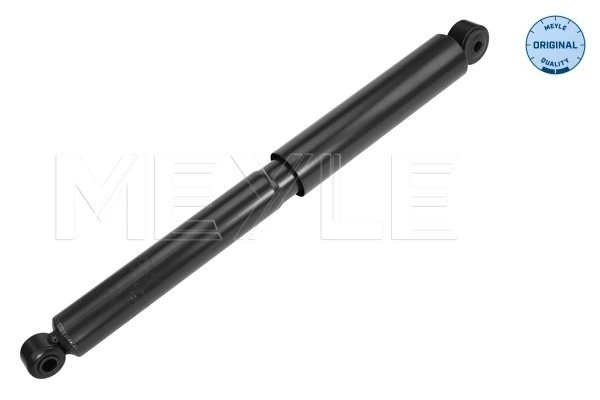 RAISO RS313394