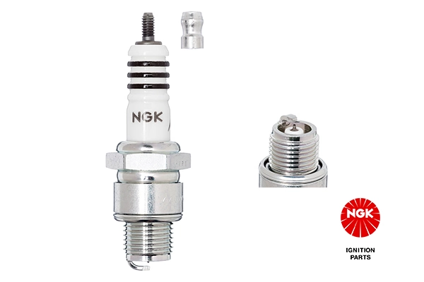 NGK 3419