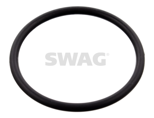 SWAG 10100077