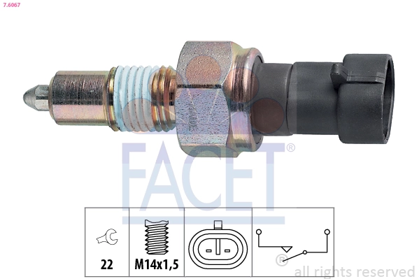 Facet 76067