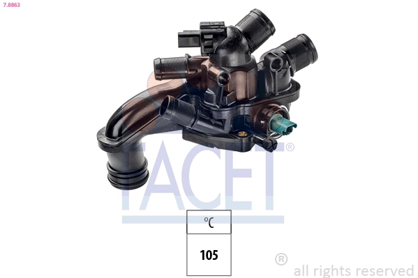 Facet 78863