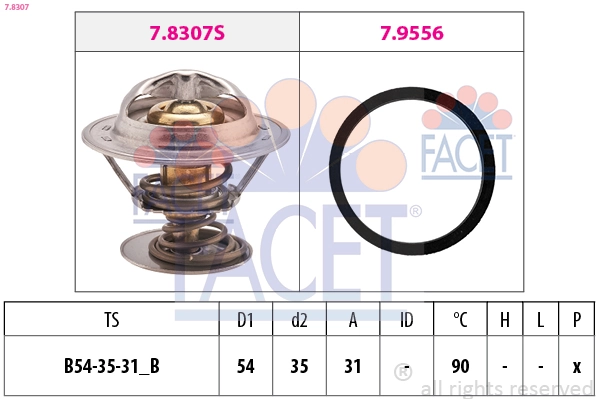 Facet 78307