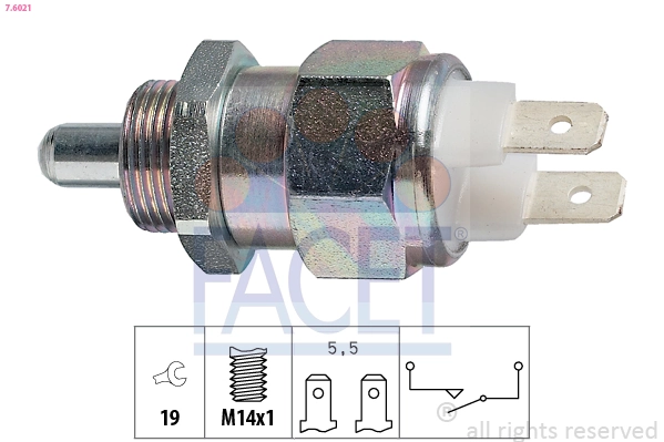 Facet 76021