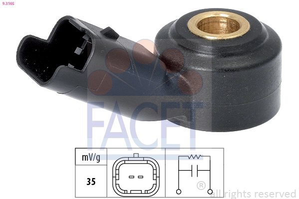 Facet 93165