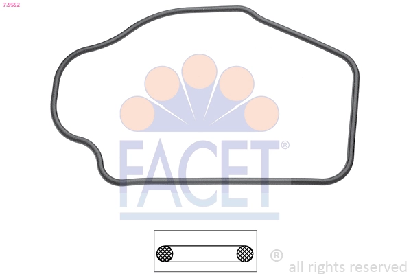 Facet 79552