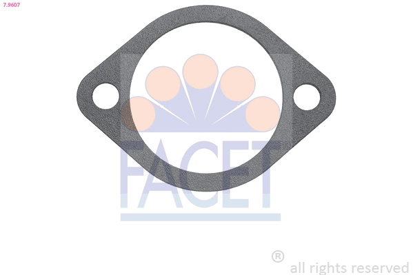 Facet 79607