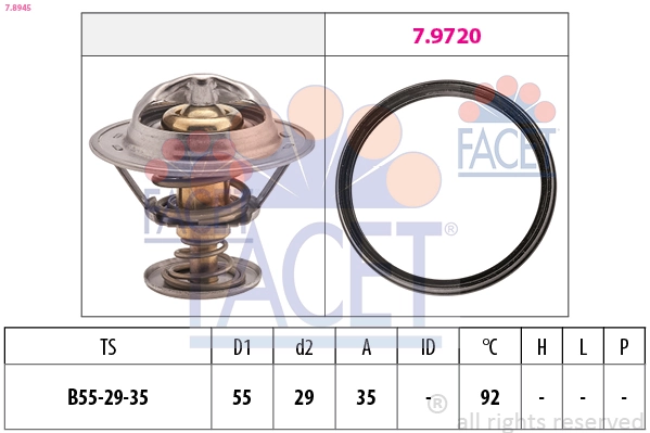 Facet 78945
