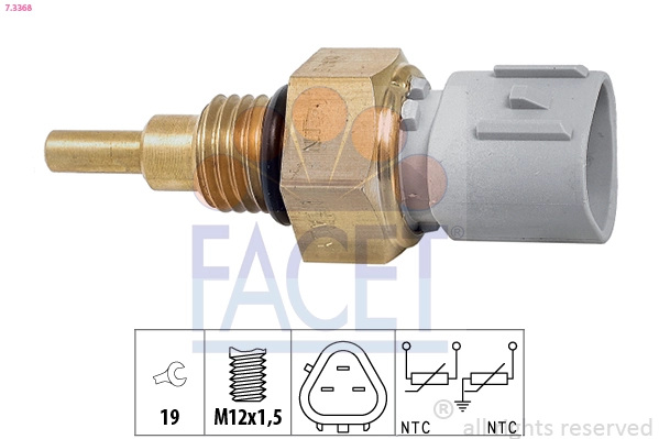 Facet 73368