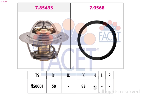 Facet 78543
