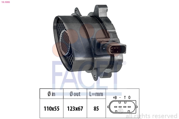 Facet 101005