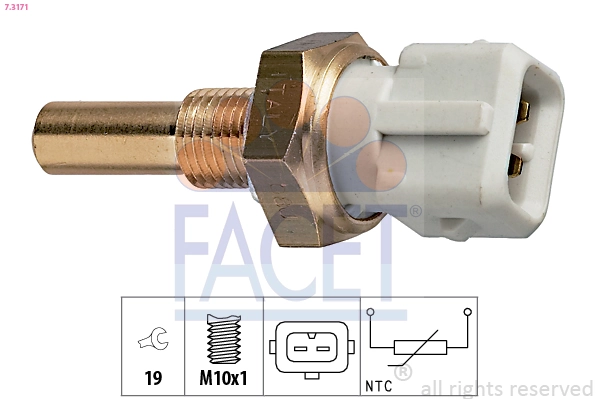 Facet 73171