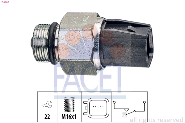 Facet 76267