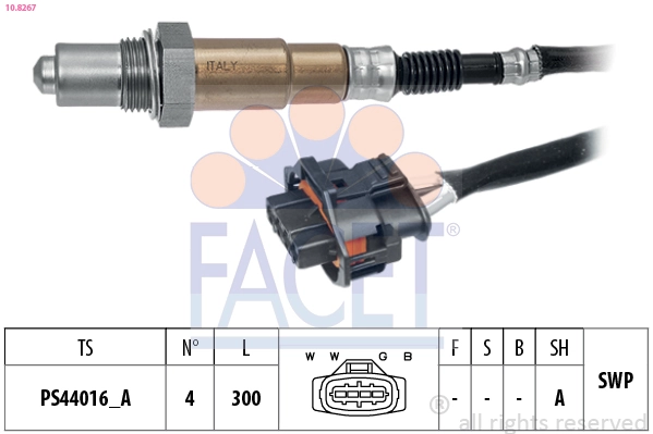 Facet 108267