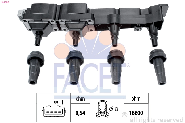Facet 96307