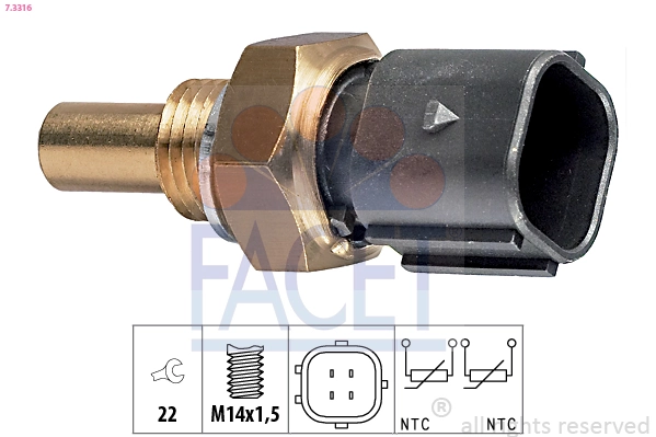 Facet 73316