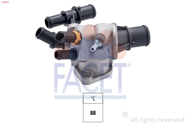Facet 78571