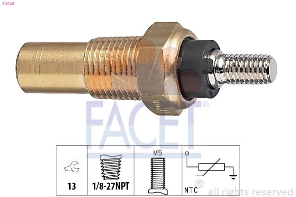 Facet 73124