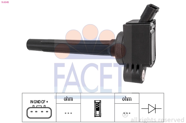 Facet 96545