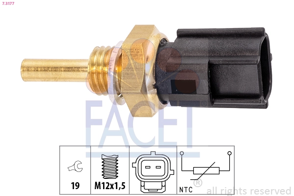 Facet 73177