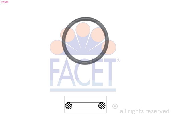 Facet 79576