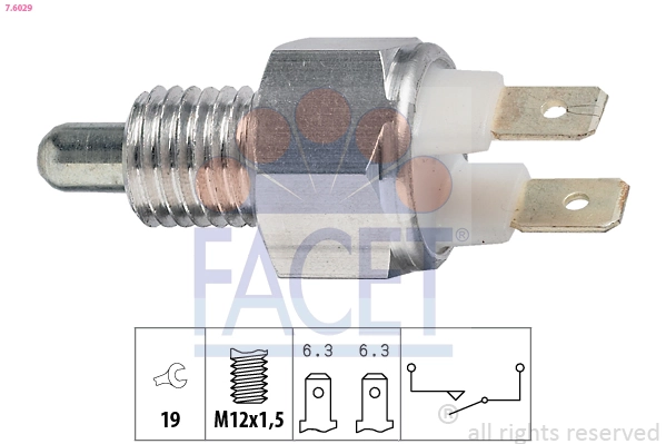 Facet 76029