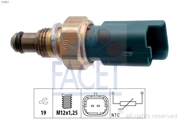 Facet 73317