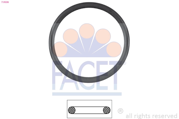 Facet 79538