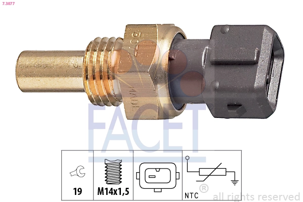 Facet 73077