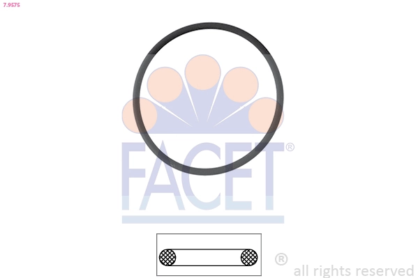 Facet 79575
