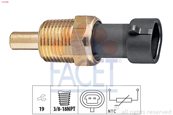 Facet 73129
