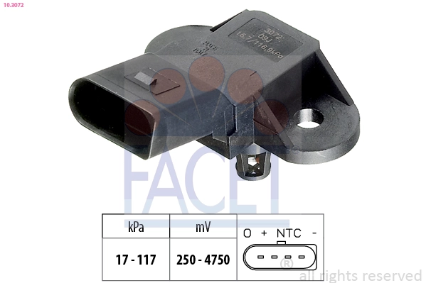 Facet 103072
