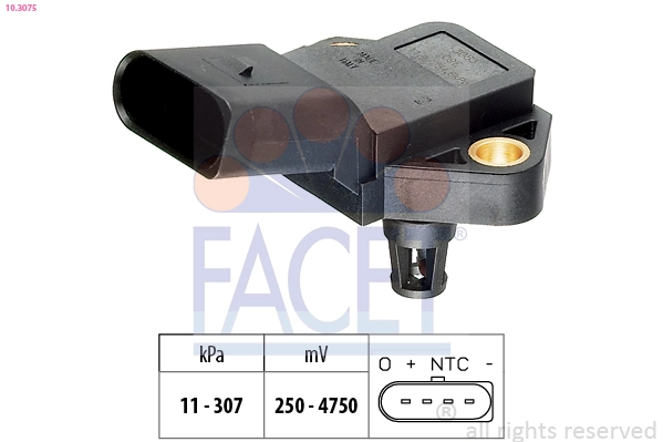 Facet 103075