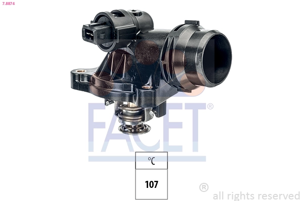 Facet 78874